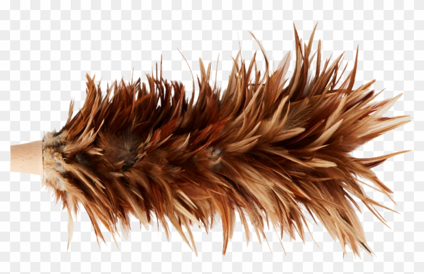 Natural Feather Duster , Png Download Clipart
