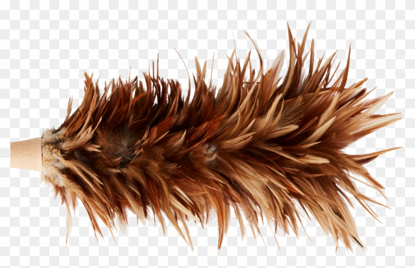Natural Feather Duster , Png Download Clipart #5689575