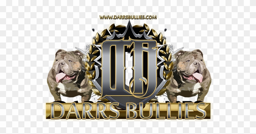 Logo For Darr's Bullies, An Ohio Based Breeder And - Renascence Bulldogge Clipart #5689668