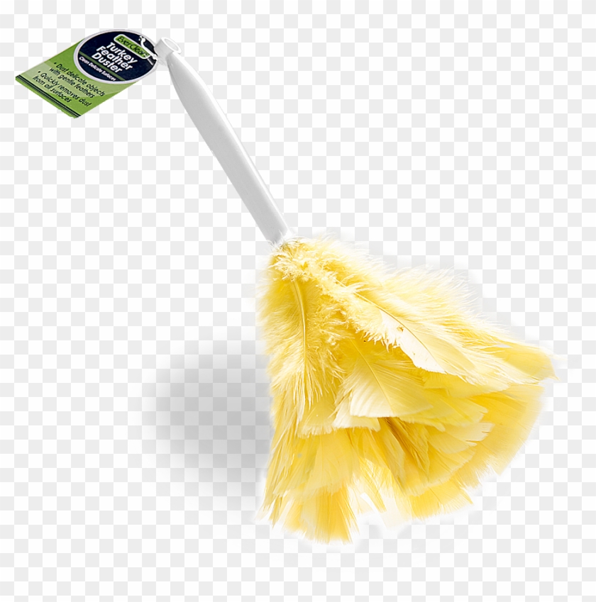 Feather Duster - Paint Brush Clipart