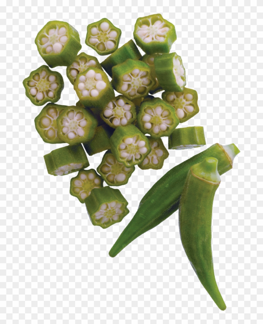 Okra - Wisteria Clipart