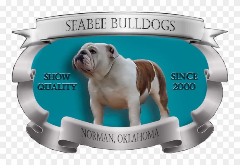 Seabee Bulldogs - Australian Bulldog Clipart