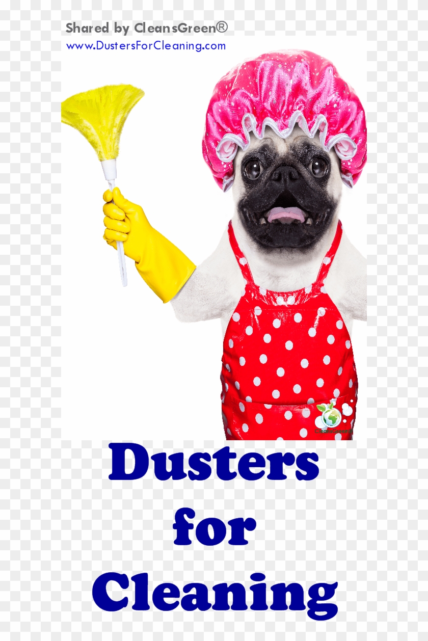 There Is A Wide Selection Of Cleaning Tools Called - Monty Python Pokemon Clipart