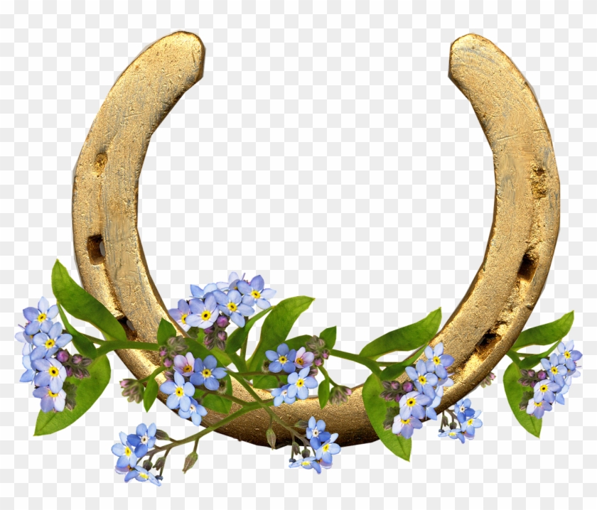 Horse Shoe Forget Me Not Flowers - Forget Me Nots Transparent Clipart - Png Download
