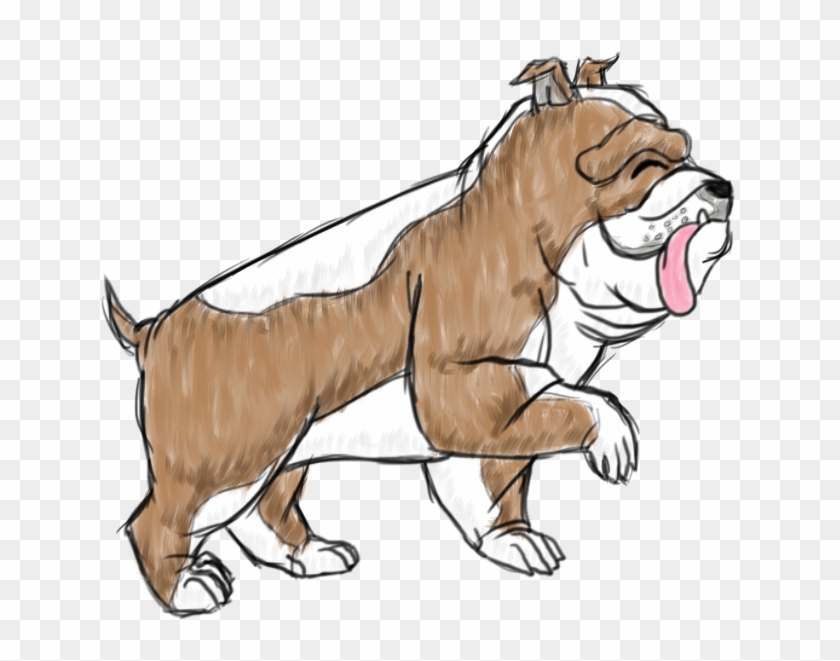 Duke The English Bulldog - Illustration Clipart #5690346
