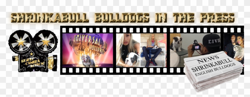 Shrinkabulls Bulldogs In The Press - Photographic Film Clipart