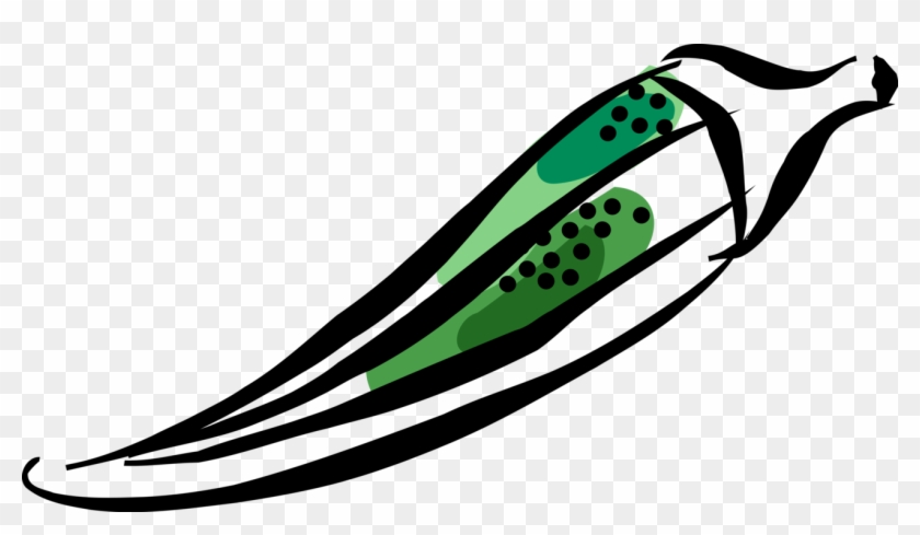 Vector Illustration Of Okra Flowering Plant With Edible Clipart