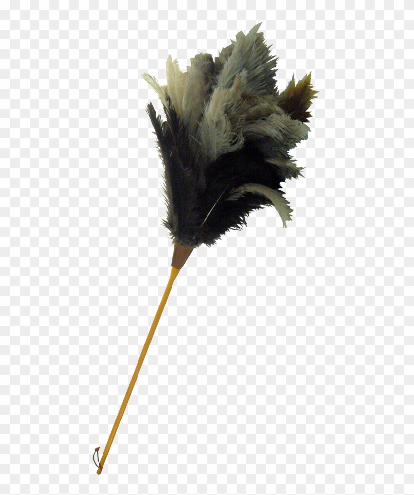 Thumb Image - Plumeau Png Clipart #5690674