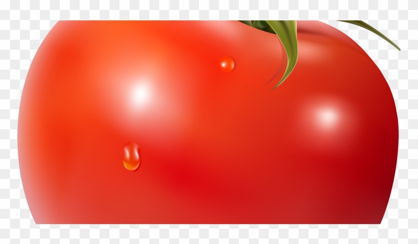 Posts Tagged 'guy Fawkes' - Macro Photography Clipart