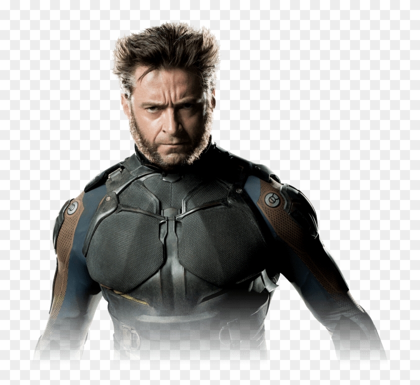 Wolverine-transparent - Armour Clipart #5692215