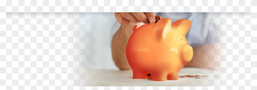 Money Secrets Achieve Your Success - Domestic Pig Clipart