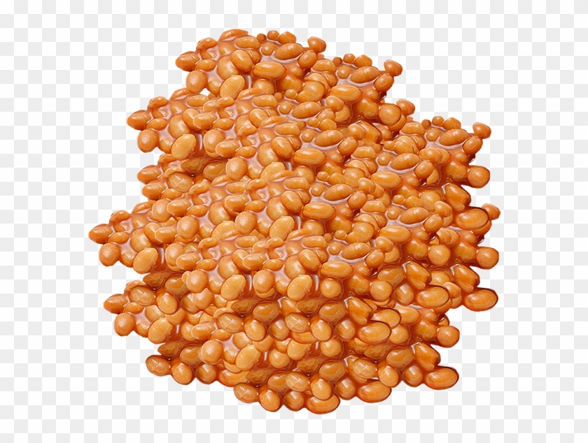 Beans Baked Photosymbols - Pulse Clipart #5692513