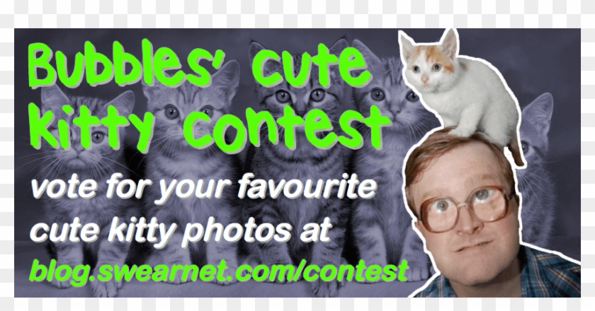 Domestic Short-haired Cat Clipart #5692758