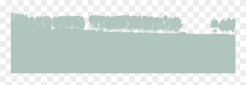 Trees - Png - Larch Clipart #5692858