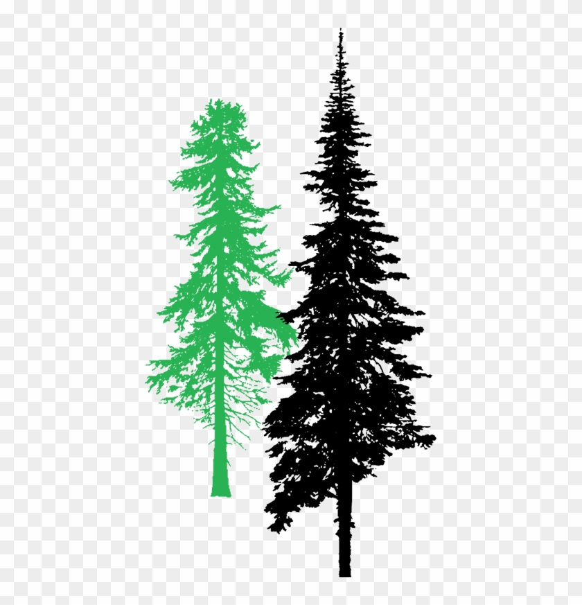 Mccullough Bros Is A Family Run Business Owned By Brothers - Tall Pine Tree Silhouette Clipart