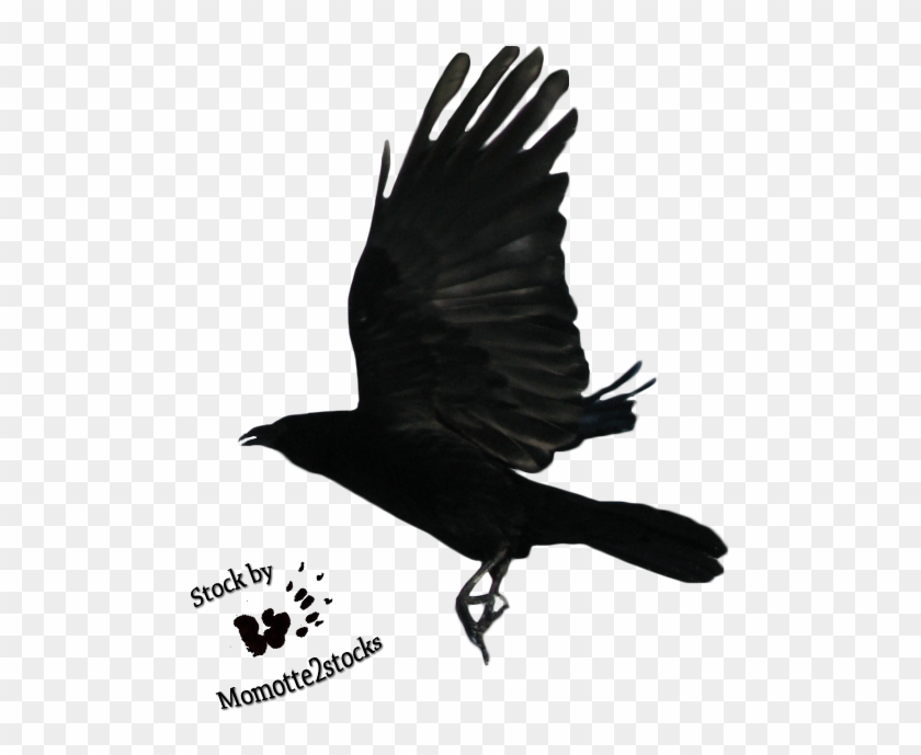 Geometric Raven Flying - Flying Crow Png Clipart #5693102