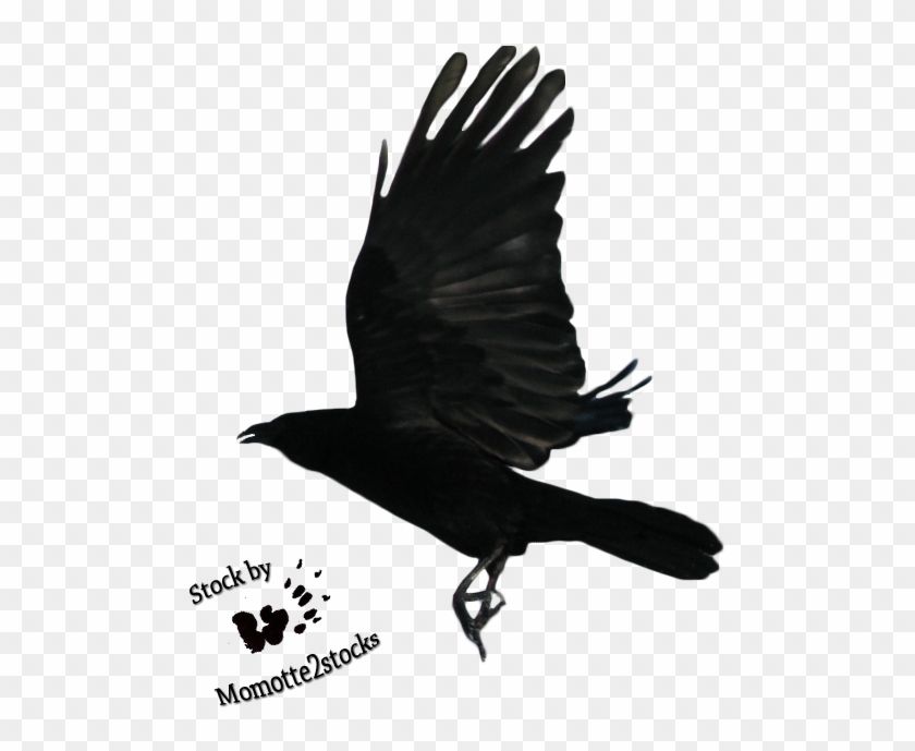Geometric Raven Flying - Flying Crow Png Clipart