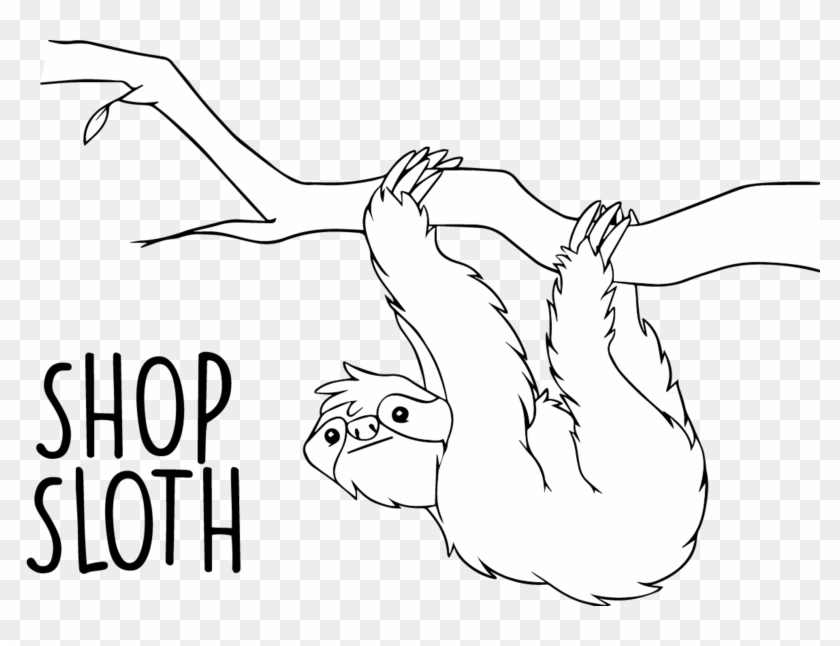 Shop Sloth - Drawing Of Rain Forest Animals Clipart #5693152