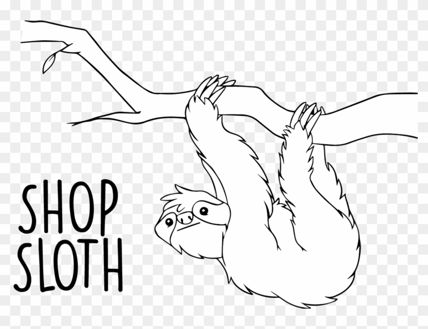 Shop Sloth - Drawing Of Rain Forest Animals Clipart
