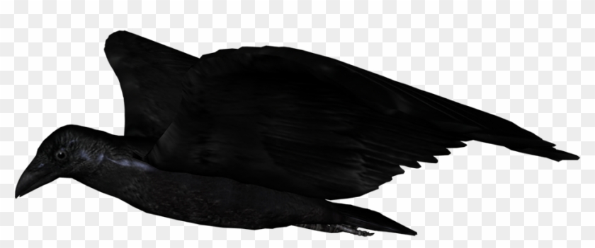 Raven Flying Png - Seabird Clipart #5693265