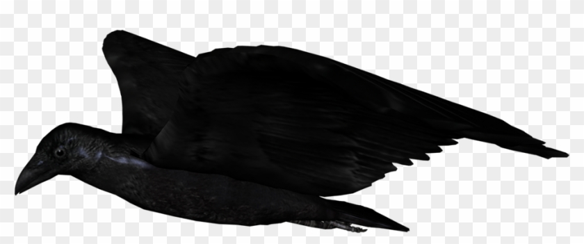 Raven Flying Png - Seabird Clipart