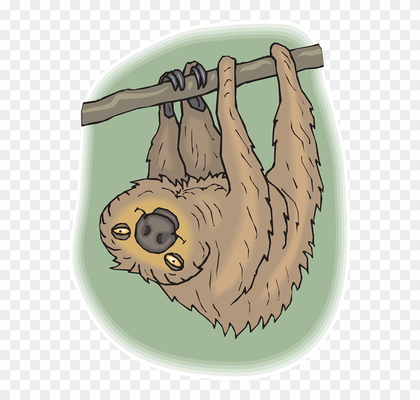 Sloth Clip Art Png Cartoon Transparent Png #5693970