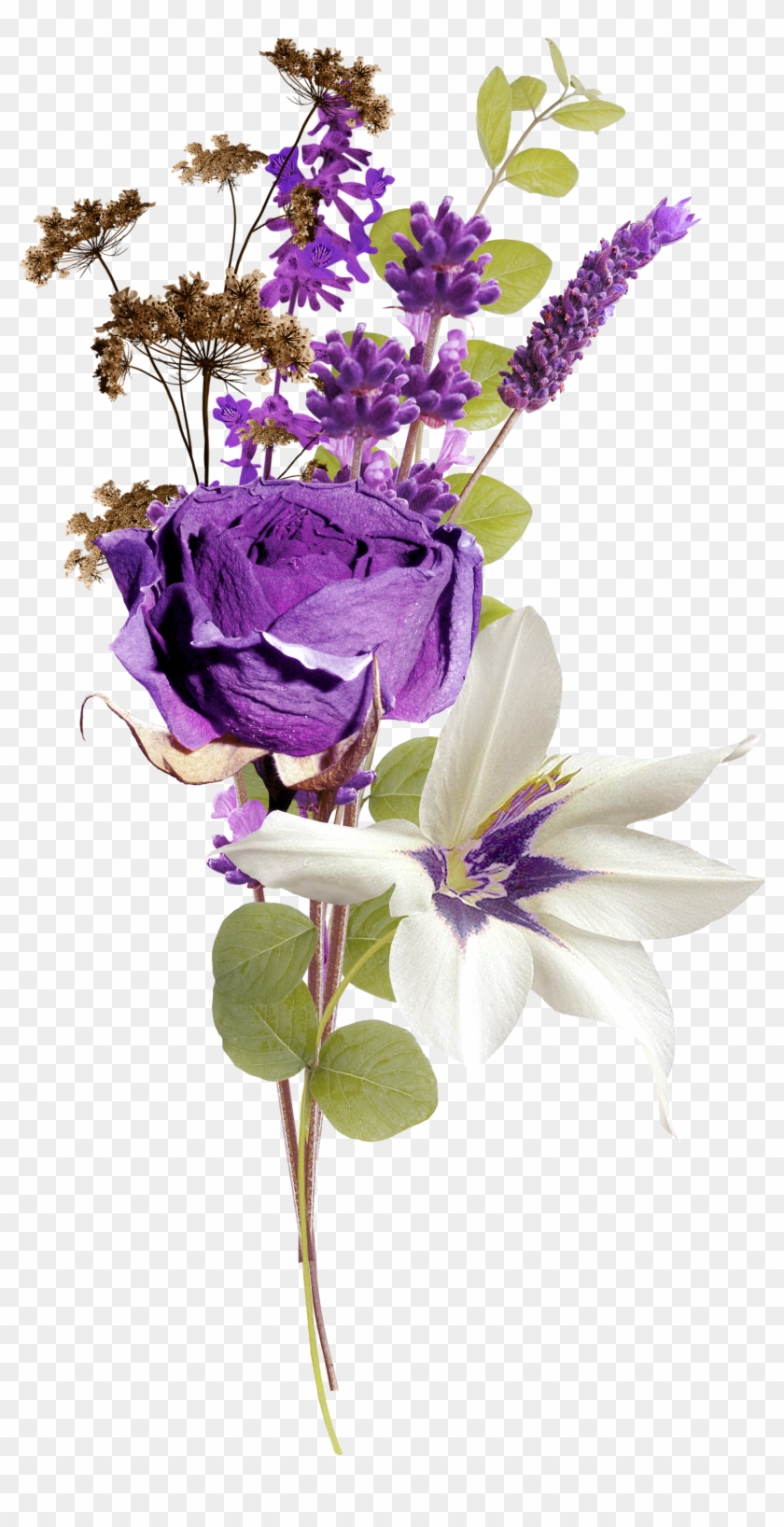 Clip Free Library Web Browser Clip Art Bouquet Transprent - Лаванда На Прозрачном Фоне - Png Download #5694432