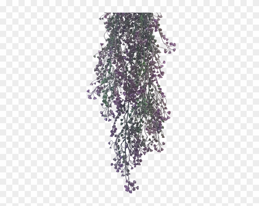 Share This Image - Wisteria Clipart #5694773