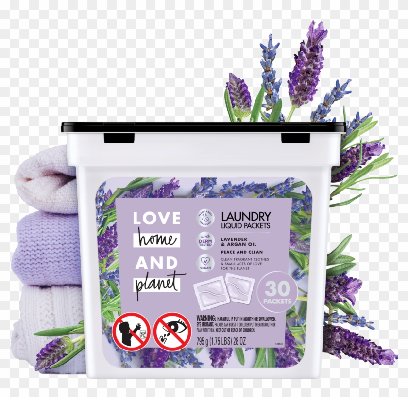 English Lavender Clipart #5694867