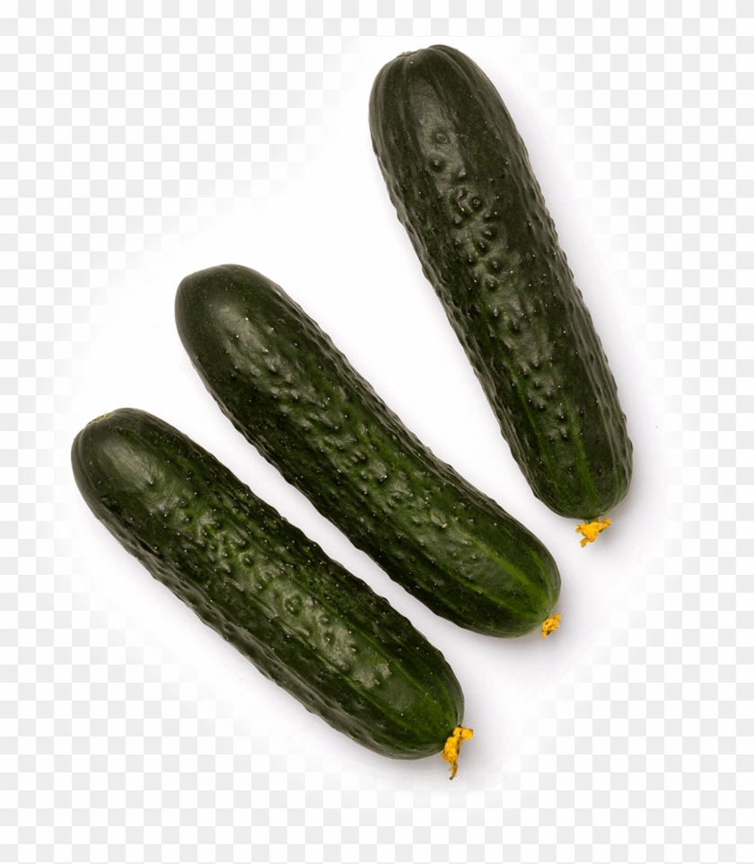 Pepino Corto , Png Download - Zucchini Clipart