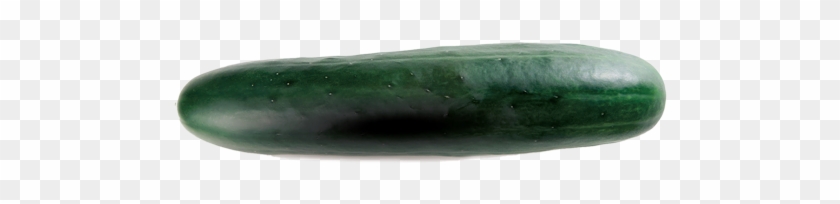 Bristol - Jade Clipart #5695207