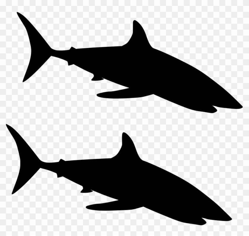 Download Png - Blue Shark Vector Clipart #5695325