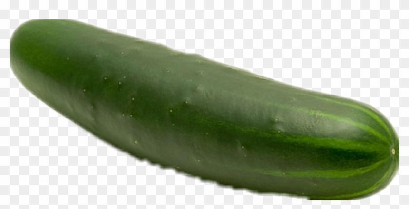 Pepino Sticker - Cucumber Clipart #5695372