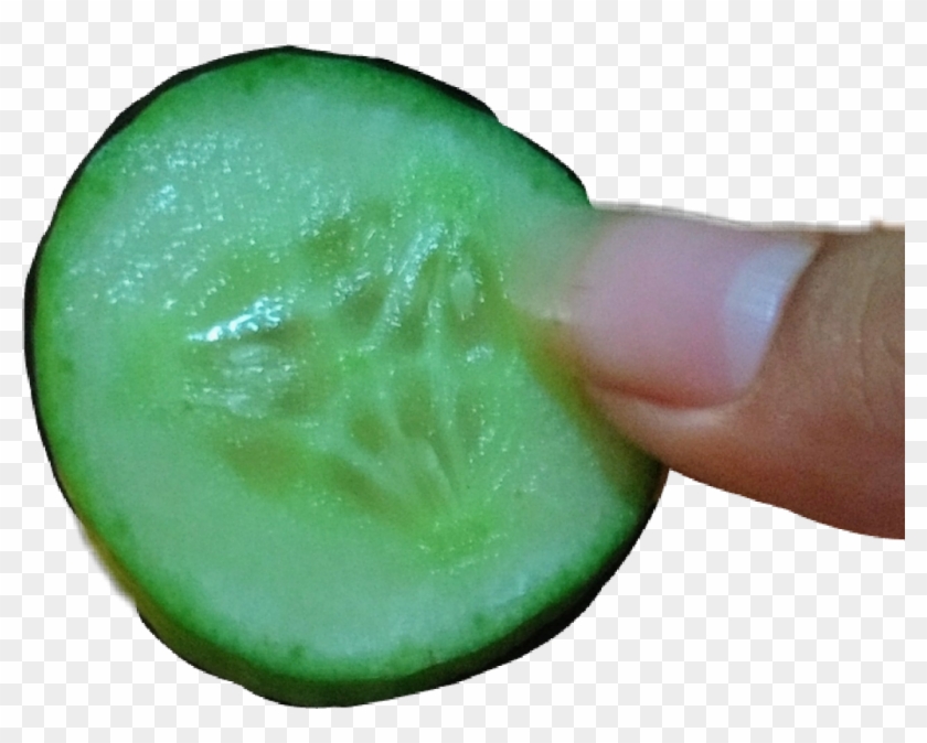 #pepino - Chlorophyta Clipart