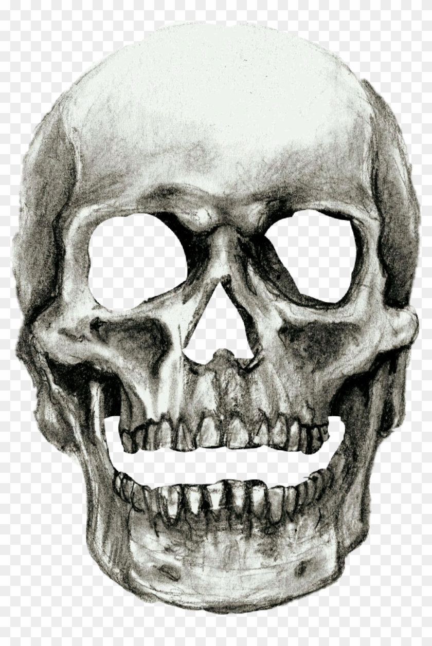 #halloween #skull - Shading A Skull Drawing Clipart #5696188