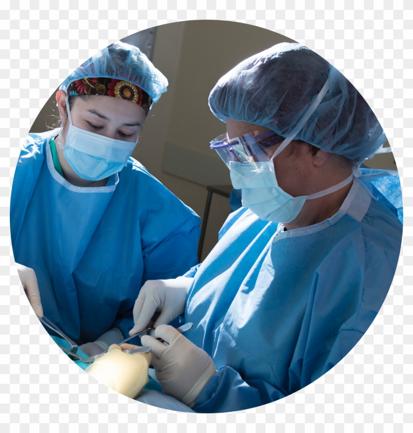 Following These Simple, Straightforward Guidelines Clipart