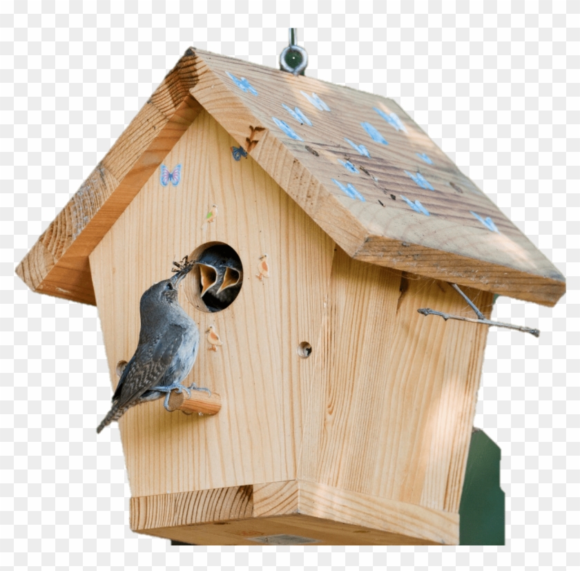 Bird House - Shelter For Birds Clipart #5697947