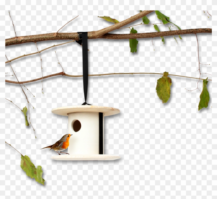 Bird Breakfast Birdhouse - Nest Box Clipart #5698224