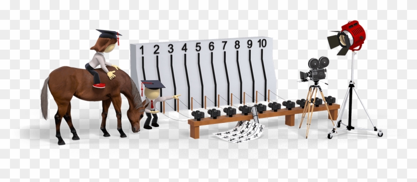 Login To Start Course - Mare Clipart #5698298
