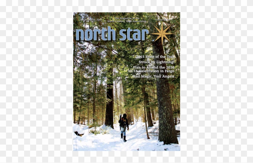 Northstar35 - Snow Clipart #5698714