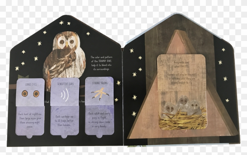 Discover How They Can Provide Much-needed Shelter, - Libby Walden Bird House Clipart #5699028