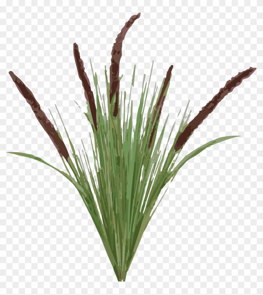 Grass Clipart #5699322
