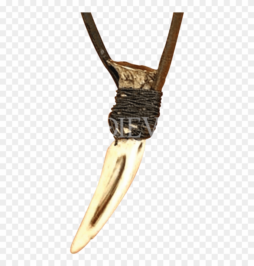 Wolf Tooth Necklace Clipart