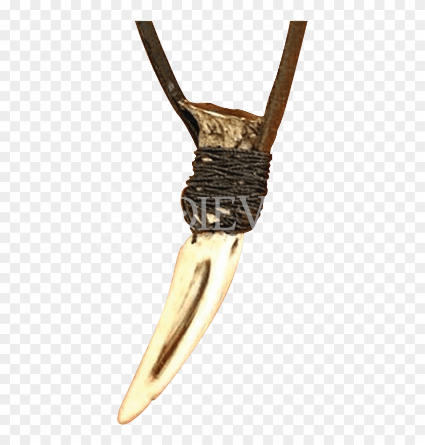 Wolf Tooth Necklace Clipart #5699411