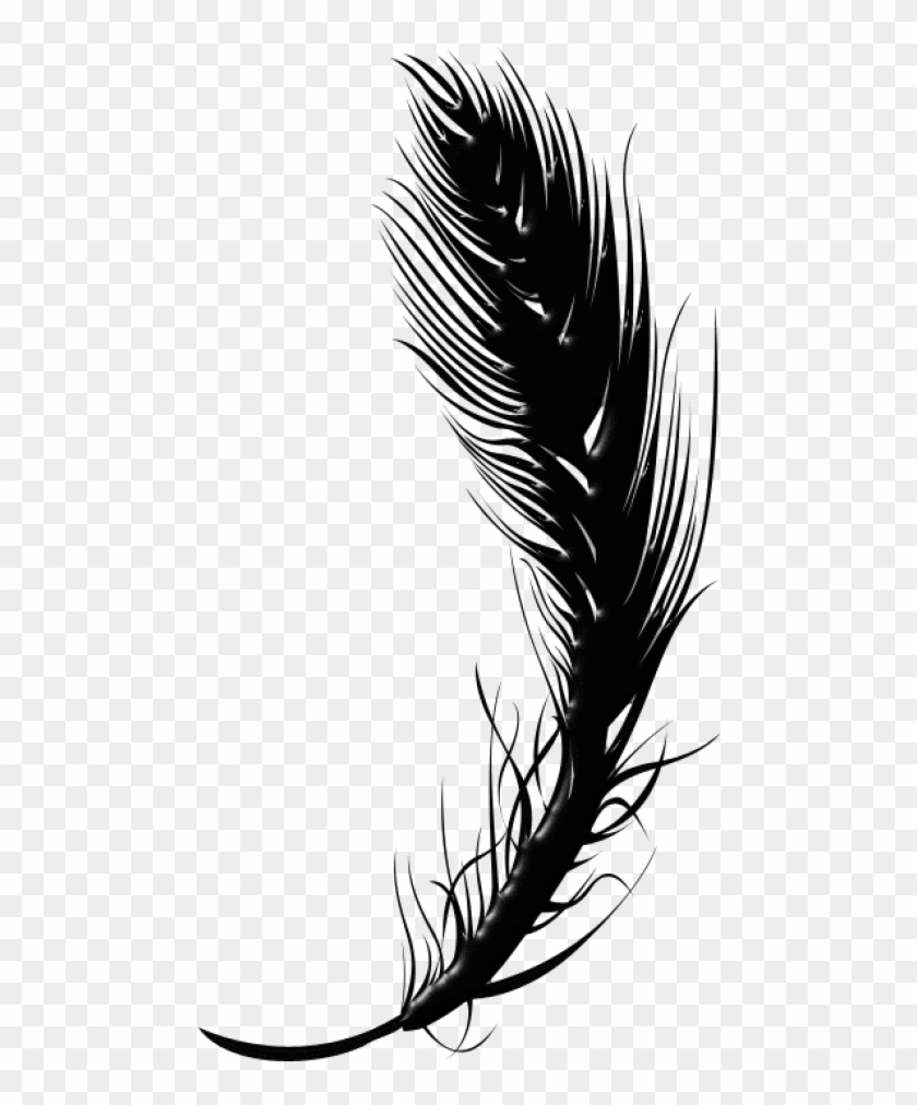 Free Png Download Black Feather Pen Png Images Background - Black Transparent Feather Png Clipart