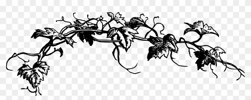 Vine Png , Png Download - Leaves Png Black And White Clipart
