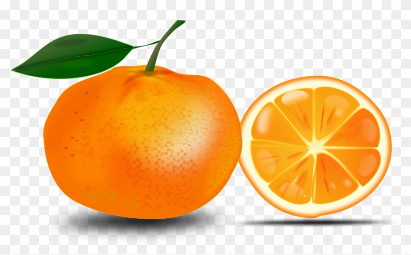 Orange Free Clipart - Free Clip Art Orange - Png Download #570870