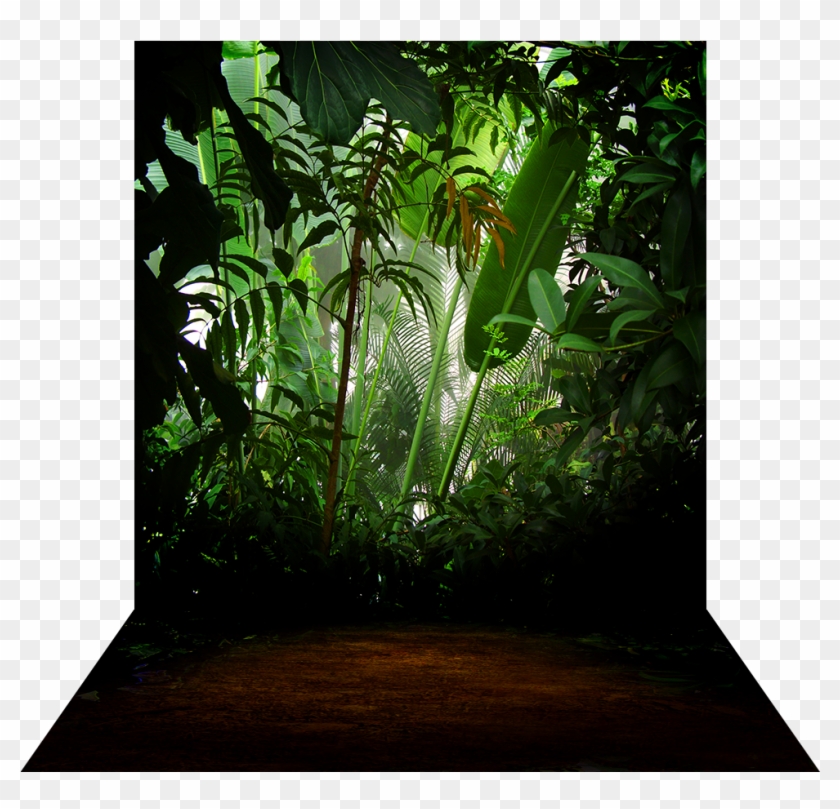 3 Dimensional View Of - Curtain Clipart