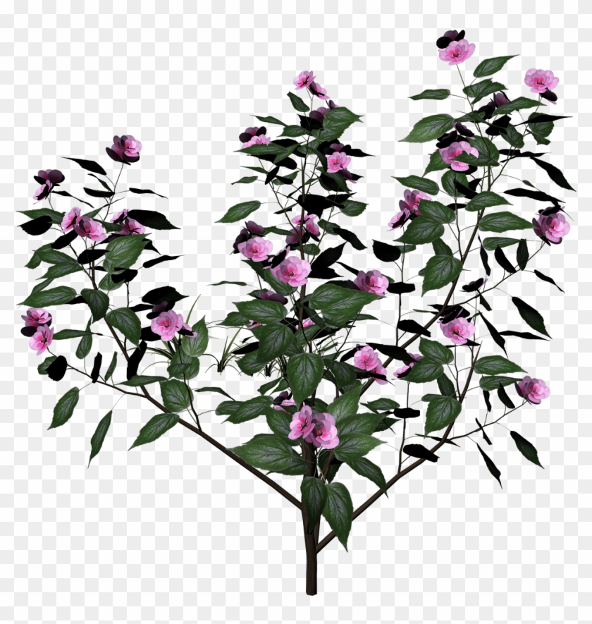 Bush Plant Flowers - Plant Render Clipart