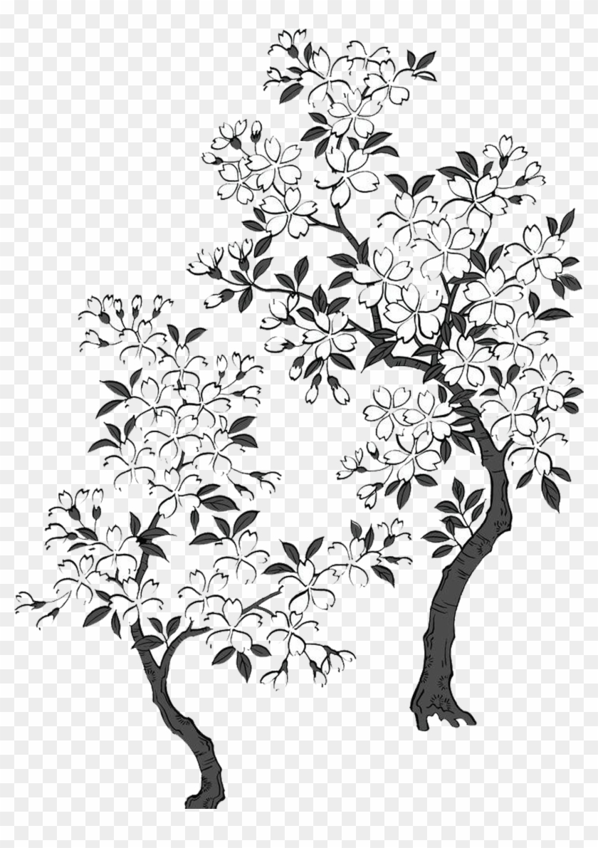 2362 X 2363 7 - Cherry Blossom Tree Black And White Transparent Clipart